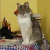 Отзыв от Тамара Балашова
